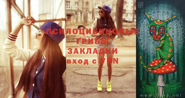 мяу мяу мука Беломорск