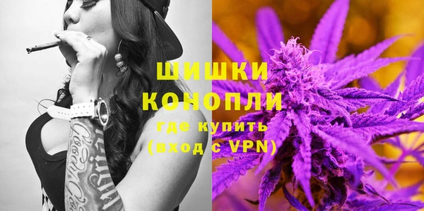 ГАЛЛЮЦИНОГЕННЫЕ ГРИБЫ Туринск