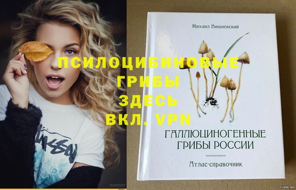 ГАЛЛЮЦИНОГЕННЫЕ ГРИБЫ Туринск