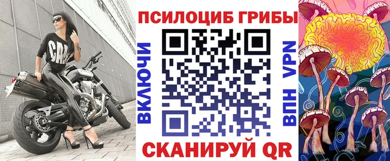 Галлюциногенные грибы Cubensis  МЕГА онион  Шарья 